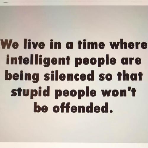 687924F6-0A1F-40F5-B028-892C2B2016A4