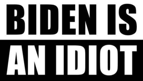 AA idiot