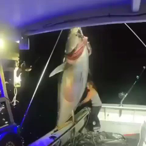 IMG_20220402_194525_880