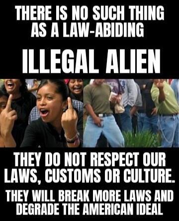 illegals 4