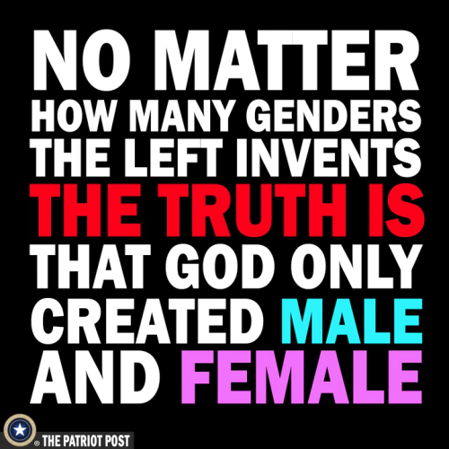 M Genders