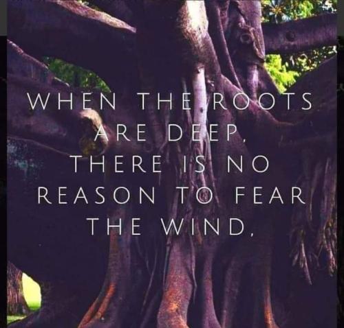 FB_IMG_1649006779899