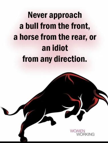 FA7AF357-D613-440E-81C1-43D9CEAC358E