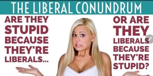 stupid is as stupid does