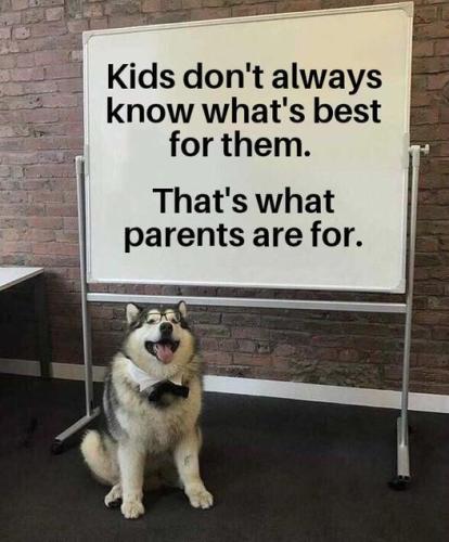 KidsDontKnowWhatsBestThatsWhatsParentsAreFor