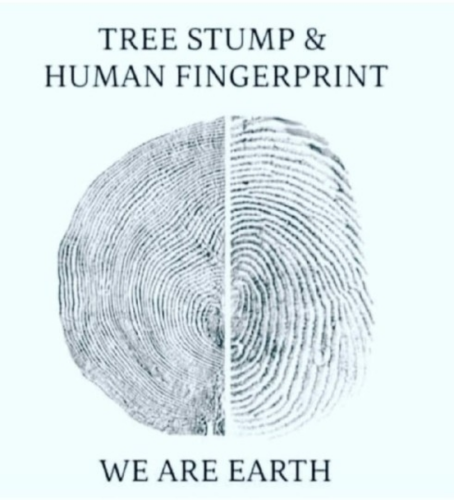 1648755345946_hub_od_