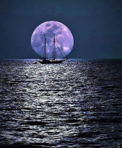 FB_IMG_1621767975179