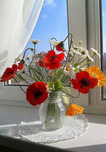 img (18)