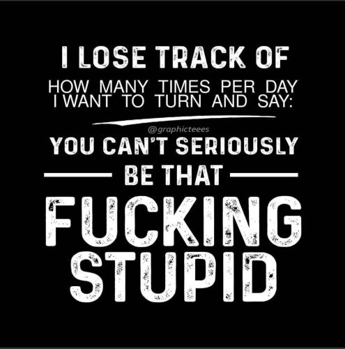 d49fd497-9aed-4a0a-a9b8-873481db8f82