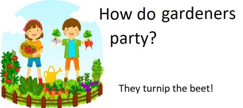 20220430 gardeners turnip the beet