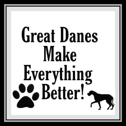 Great Dane - Make everything better