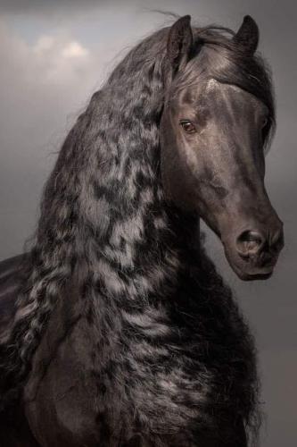 C3F99021-62FB-42D8-B0D0-EB5933459256