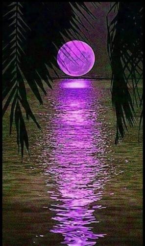 FB_IMG_1620271175039