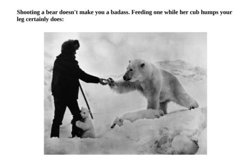 badass - feeding bear