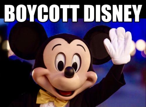 7996EE70-8E8E-4DBB-9028-A28060C2A3C9