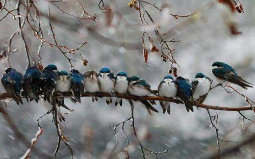 FB_IMG_1614711222453