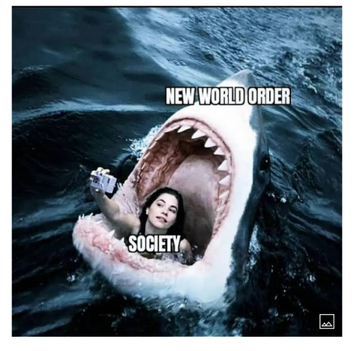 Screenshot_20220410-222719~2