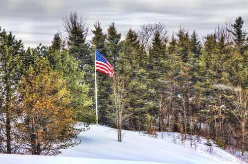 Flag - On hill with trees