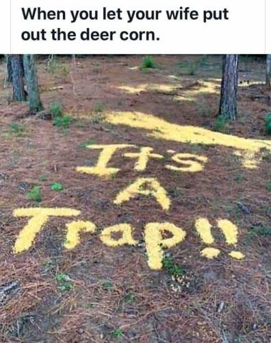 Deer bait - Wife puts it out