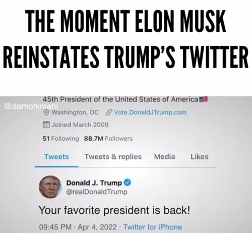 trump is back elon musk reinstates