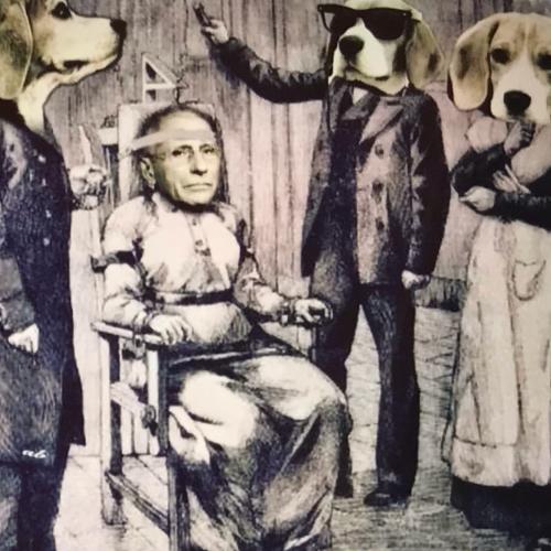 2C1D5E9D-CBAB-4C51-B3C1-794373969514