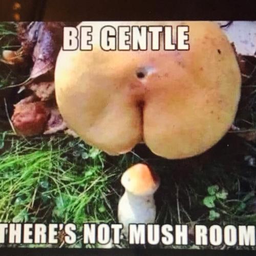 DD017ACC-F82A-42DB-9674-A9B4E59FCF68