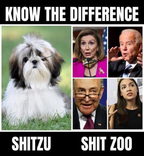 20220405_152100