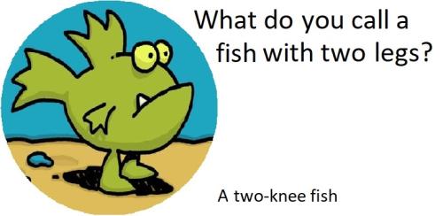 20220422 two-knee fish