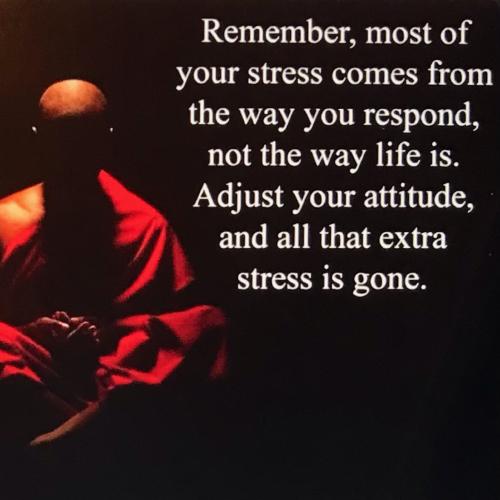 968962D1-859A-4523-B910-D9D42C9986CB