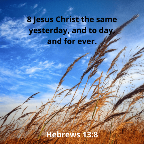 8998BE4126E8ECBC7691563146039DD7.bible76-min