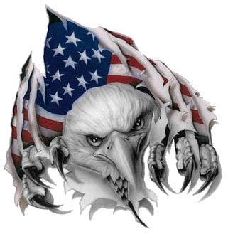 American_Freedom_1