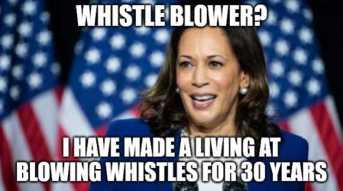 bidenhohowhistleblowerwcap