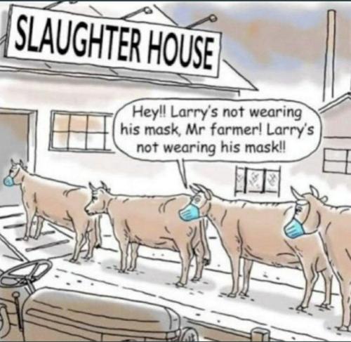 slaughterhouse