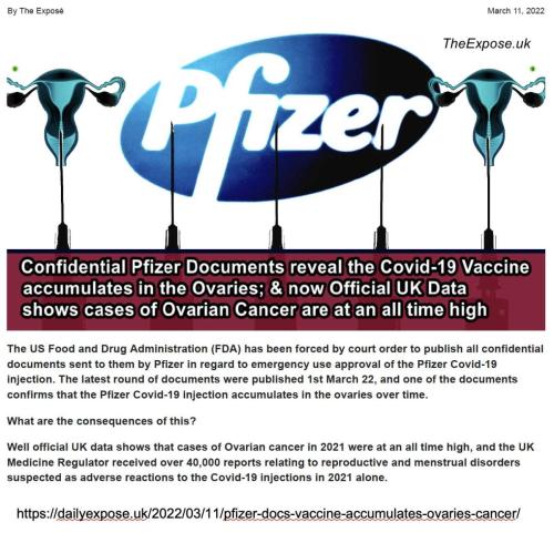 Vax & ovarian cancer