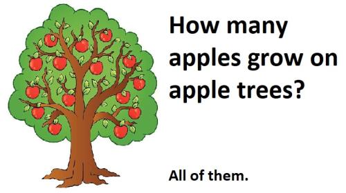 20220425 apple grow on a tree