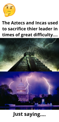 1649976515814_1