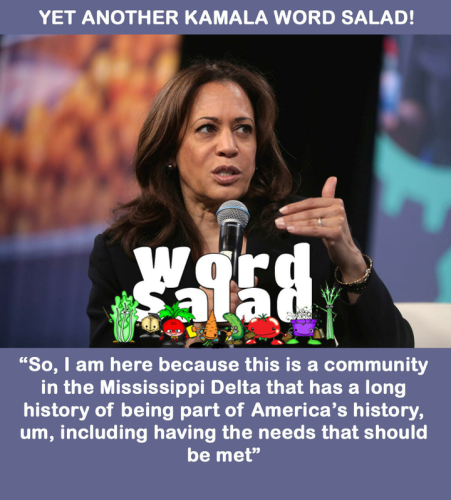 kamala word salad