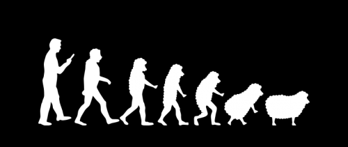 humour-engage-d0012758999