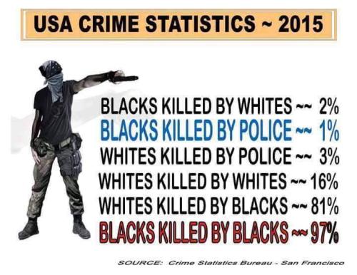 13600330_10201675082676929_7592992711353072926_n