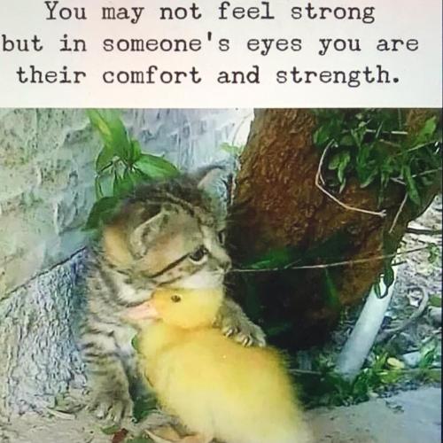 9BF9E967-BC73-4D15-A421-BB1E483D9880