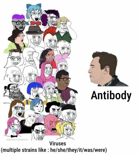 nowthisisfunnyandtrue