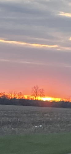 860067A7-AE80-49B7-9308-14604BBB640E