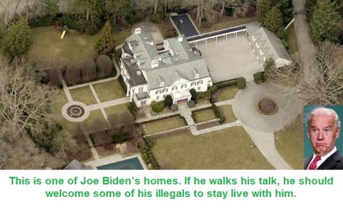 Joe illegals