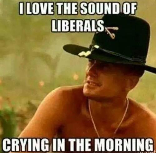 CRYING LIBERALS