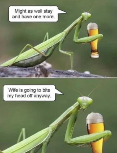 Capture+_2021-12-30-12-06-35(1)