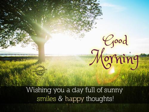 gmsunnysmiles