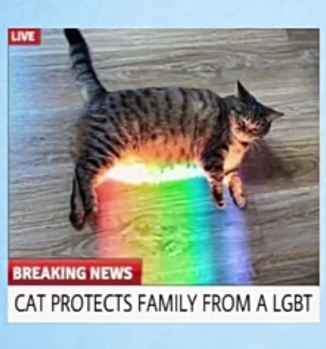 Screenshot_20220413-020157~2