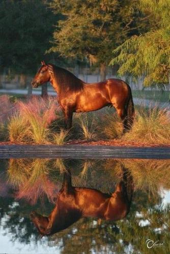 570D98C6-A8A5-4456-9571-21BE5A8A42CE