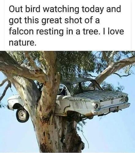 FB_IMG_1585668320201