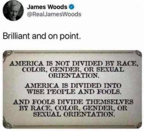 M divided